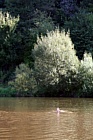 IMG_3788_1.JPG