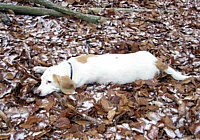 2005_1.jpg