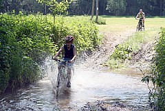 IMG_7931_1.jpg