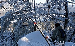 IMG_0655a.jpg